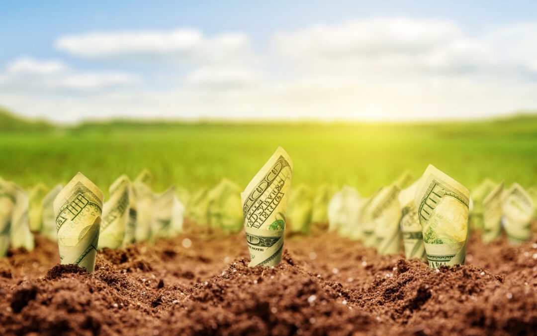 Magie hojnosti a prosperity