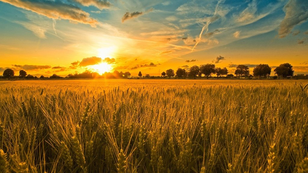 Lughnasadh Lammas letní svátek sklizně
